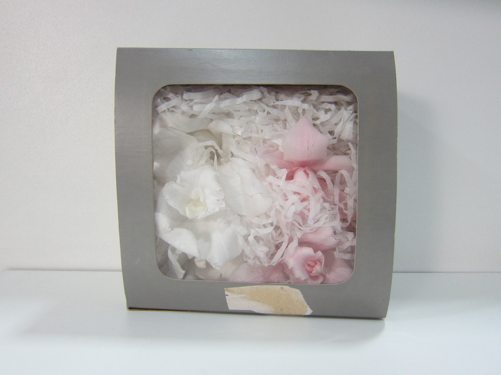 Caja cuadada gris con orquideas eteneras 8x18