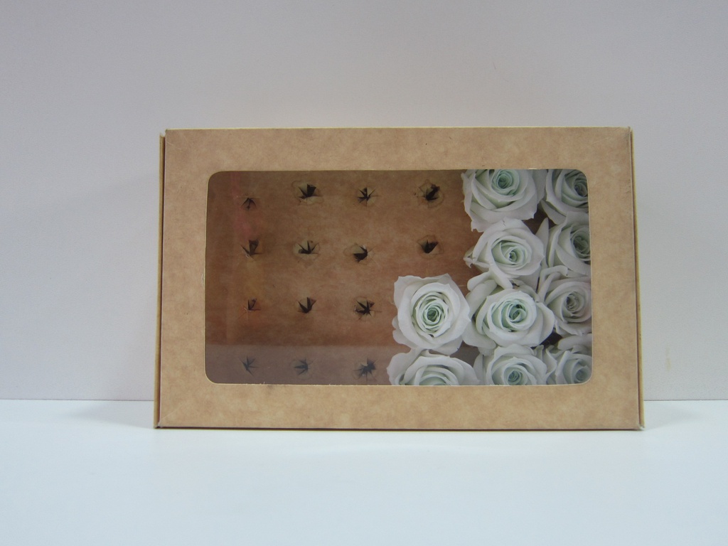 Caja rectangular de carton con flor eterna roja x6 