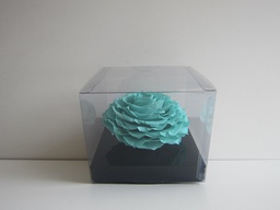 [PIV-0717] Caja cuadrada trasnparente extra large rosas eternas celeste 10x12