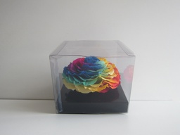 [PIV-0718] Caja cuadrada trasnparente extra large rosas eternas arcoiris 10x12