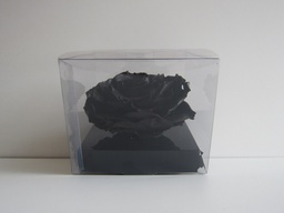 [PIV-0719] Caja cuadrada trasnparente extra large rosas eternas negro 10x12