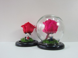 [PIV-0746] Cupula de vidrio rosa roja eterna 16x14